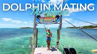 A Boat Day in The Abacos | Treasure Cay, Grabbers, and Dolphins