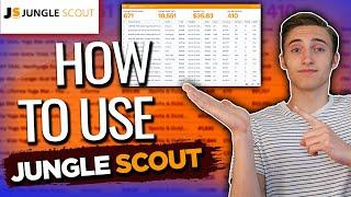 How To Use Jungle Scout As A COMPLETE Beginner - Web App & Chrome Extension Tutorial