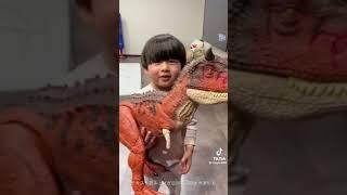 2/1~2/28TikTok 椎茸かわいい集【しょうやん男三兄弟切り抜き】