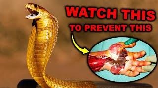 Meet The Most Venomous Snakes On The Planet! - NO 2 IS SCARY!!