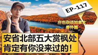 安省赏枫宝典|安省北部超级赏枫景点大合集！【庄也杂谈加拿大117】