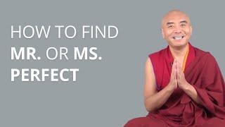 How to Find Mr. or Ms. Perfect with Yongey Mingyur Rinpoche