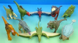 2024 JURASSIC WORLD CHAOS THEORY set of 10 HAPPY MEAL COLLECTIBLES VIDEO REVIEW