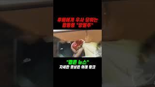 한참 어린 동생에게 우사탕하는 "장필주"