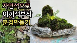 자연석 돌판위에 이끼석부작 분경 만들기, Making a moss flower pot with natural stones