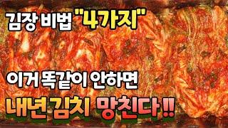 김장 꿀팁! 김장김치 만드는 4가지 비법!