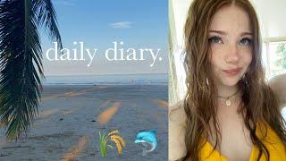 daily diary/vlog. 