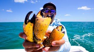 The MOST EXPENSIVE Seafood IN THE WORLD | Stone Crab (Catch,Clean,Cook)