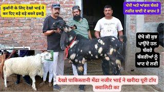पाकिस्तानी बकरे और मैढे नज़ीर खान के फार्म पर देखें कया खिलाते हैं Goat Farming Sheep Farming #goat