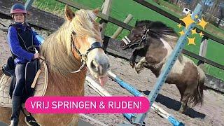 VRIJ SPRINGEN met de SHETLANDERS!