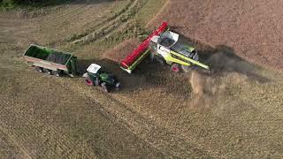 24.07.2024 Rapsernte in den Abendstunden mit Claas Lexion 8900 und Fendt