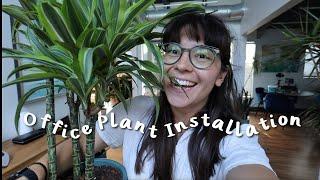 Adding Houseplants to the Workplace! | office houseplant installation 🪴