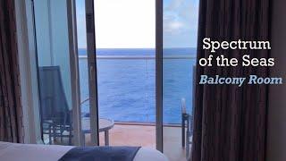 로열 캐리비안 크루즈 발코니 객실 대공개!ㅣRoyal Caribbean Spectrum of the Seas - Balcony Room (with TIPS!!)