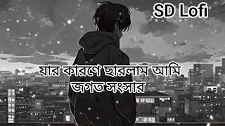 যার কারণে ছারলাম আমি জগত সংসার 2024 new Lofi Song. @MrBeast   @MRINDIANHACKER