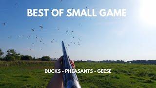 BEST OF SMALL GAME HUNTING 2023 - Ducks - Pheasants - Geese - compilation