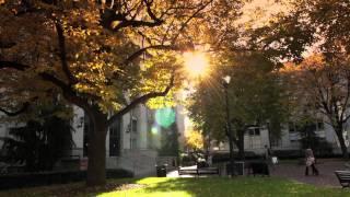 Northeastern University in the Fall