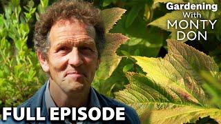 Planning BREATHTAKING Colours  | Season 7 Episode 11 | Gardeners' World | Gardening With Monty Don