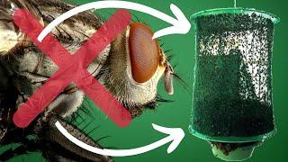 Best Reusable House Fly Trap Net | No Need For Homemade Fly Traps With This Awesome Fly Catcher