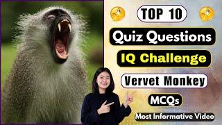 Test Your Knowledge Can You Answer These 10 Vervet Monkey Trivia Questions | Helian GK Quiz