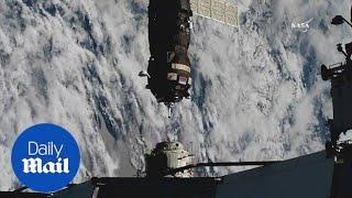 Space express: Russian cargo ship makes fastest delivery to ISS