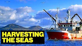 Life and Work On a Commercial FISHING Vessel // Full Documentary