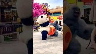 funny Gorilla and cute panda  reaction video  #viral #trending #shortvideo #funny #youtubeshorts 