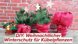 Weihnachtliche Deko & Wintertschutz für Kübelpflanzen | einfach selber basteln