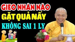 Gieo Nhân Nào Gặt Quả Nấy Luật Nhân Quả Không Sai 1 Ly -Thầy Thích Minh Đạo(HAY QUÁ)