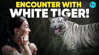 Elli AvrRam's Encounter With White Tigers In Rewa, Madhya Pradesh | India With Elli E5 | Curly Tales