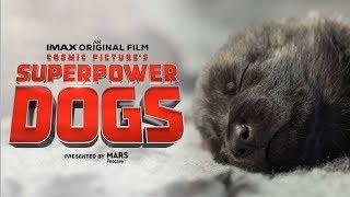 Superpower Dogs Official Trailer