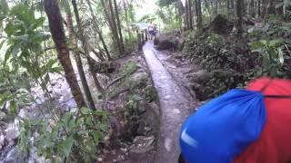 El Yunque Hike to La Coca Falls in  Puerto Rico