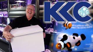 NEW REEF FISH! - Live Unboxing from KKC Ltd  - How to Acclimate Fish?