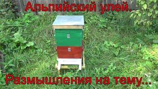 Альпийский улей. Размышления на тему...