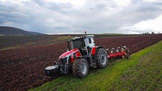 Massey Ferguson 8S.265 / ORBA , ORKA 2022 /