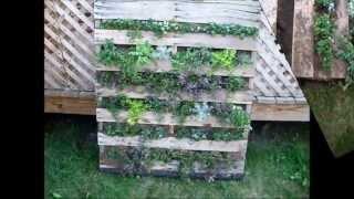 Building a Vertical Pallet Garden (Subscribe to OUR LITTLE HOMESTEAD)