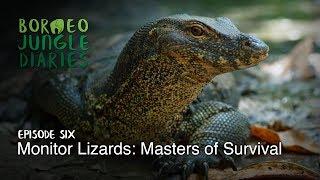 Borneo Jungle Diaries: Episode Six - Monitor Lizards: Masters of Survival [UHD/4K] SZtv