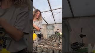 Только на монтаж этого видео ушло полтора часа , съемка не считается. надеюсь вам будет полезно ️