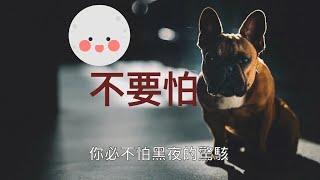 【不要怕】Fear Not (Mandarin hymn with lyrics) 國語詩歌 #基督教詩歌精選