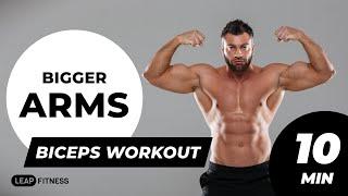 10 Min Biceps Workout to Build BIGGER ARMS at Home (Follow Along)