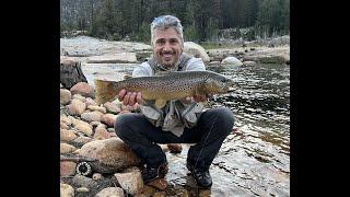 Fly Fishing for Rainbow and Brown Trout in the high Sierras