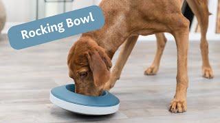 TRIXIE Slow Feeding Rocking Bowl Napf für Hunde #25285