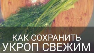 МАЛО КТО ЗНАЕТ ОБ ЭТОМ ! Бабушка научила. КАК СОХРАНИТЬ УКРОП СВЕЖИМ /// ЛАЙФХАК ОТ БАБУШКИ