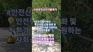 돼지풀제거작업 #서울시50플러스 재단 #가치동행일자리 #안전산행지원단 #북한산국립공원 #생태계교란식물 #인생2막 #사회공헌활동 #안전산행환경조성 #국립공원을지키는아름다운실천