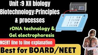 XII- topic(recombinant DNA (rDNA) technology, GEL ELECTROPHORESIS)