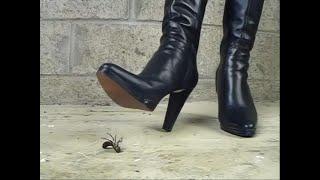 N10 - Bug Crush Teaser - Long boots and Cockroaches