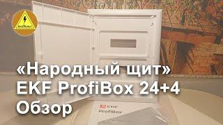 «Народный щит» EKF ProfiBox 24+4  Обзор