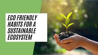 Eco Friendly Habits For A SUSTAINABLE Ecosystem