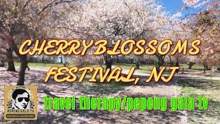 Cherry Blossoms Festival NJ/@Pepeng Gala TV