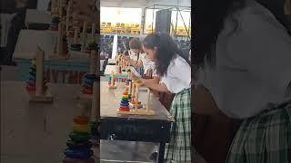 7 Disk Double Tower of Hanoi Speed Challenge