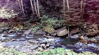 Красота!...Carpathian national nature park...3